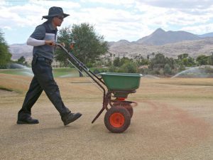 Golf Course Over Seeding Schedule